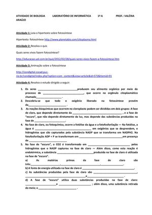 Atividade de Biologia no LEI - 1º A