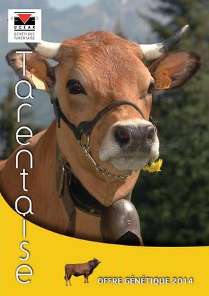 Catalogue Tarentais 2014