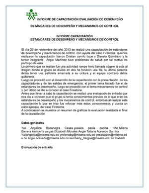 Informe de Capacitación Estandares de desemepño