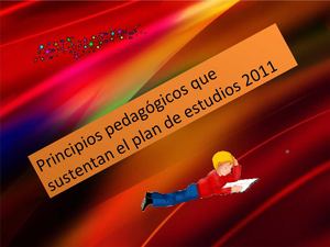 Principios pedagógicos del plan de estudios 
