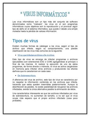 Virus Informaticos