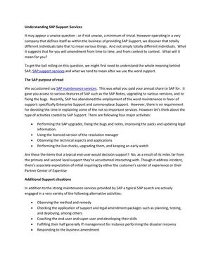 Understanding SAP Support Services