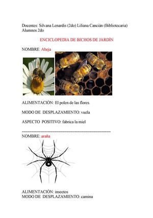 Bichos de jardín