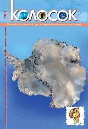 Колосок 7_2012