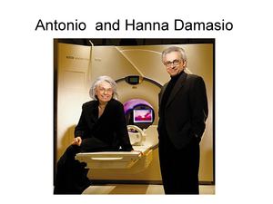 дамасио