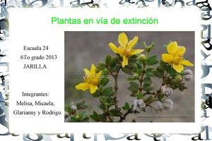 Plantas en peligro: La Jarilla