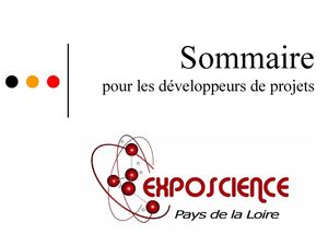 SOMMAIRE pour les développeurs de projets