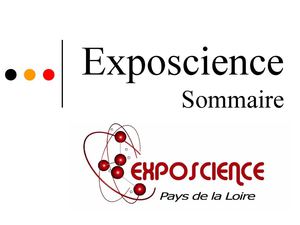 SOMMAIRE pour les organisateurs de projets