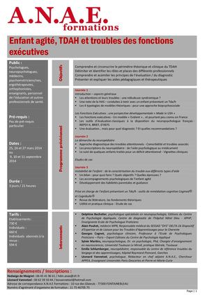 Enfant agité, TDAH et troubles des fonctions exécutives