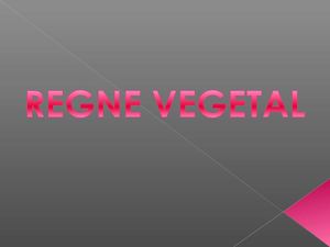 REGNE VEGETAL POWER POINT