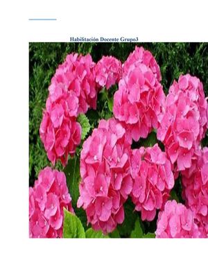 PLANTAS ORNAMENTALES