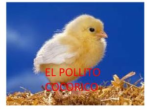 EL POLLITO COCORICO