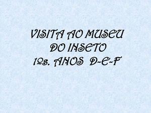 VISITA AO MUSEU DO INSETO