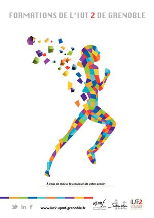 Plaquette des formations de l'IUT2 Grenoble 2014