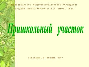 Пришкольный участок