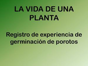 La vida de una planta