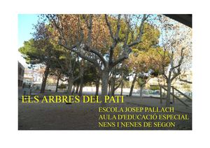 ELS ARBRES DEL PATI