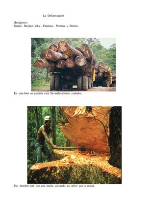 La deforestación