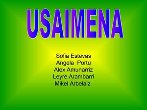 USAIMENA