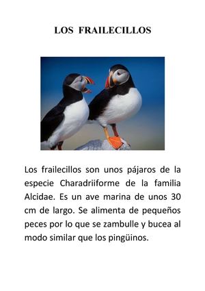 Clara Agreda Los Frailecillos