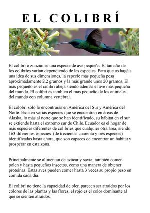 Lucía Hohentleiner El Colibrí