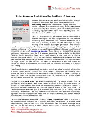 Pre Filing Bankruptcy Course