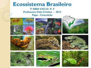Ecossistema Brasileiro
