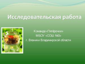 Исследовательская работа