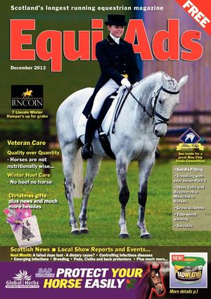 December 2013 Equi-Ads