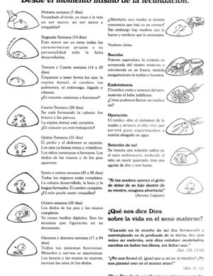 cuando_comienza_la_vida2