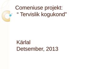 Our Comenius team in France