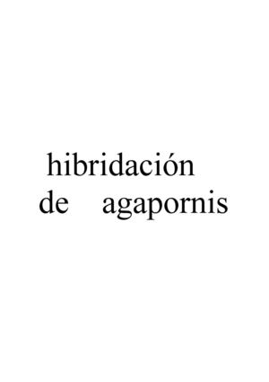 hibridación     de    agapornis