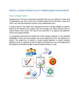 What is a project charter in an IT related project environment?