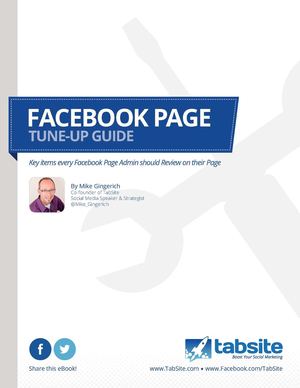 FREE FACEBOOK TUNE-UP GUIDE