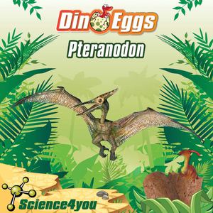 Dino Eggs - Pteranodon