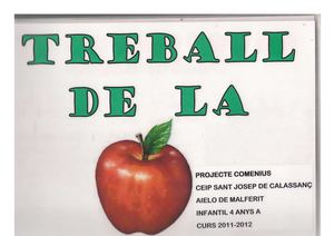LLibre poma
