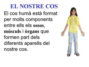 el cos humà