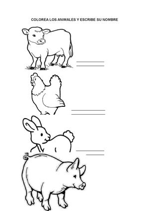 Colorea los animales y escribe su nombre