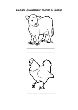 COLOREA LOS ANIMALES Y ESCRIBE SU NOMBRE