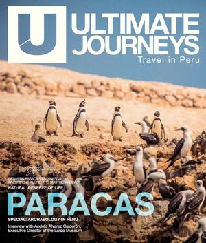 UJ#5 Paracas & Special: Archaeology in Peru