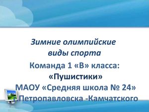 Зимние олимпийские виды спорта