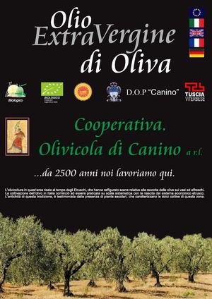 l'olio, quello buono