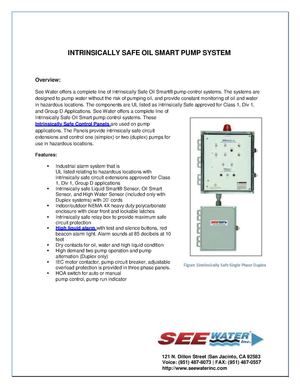 Intrinsically Safe Control Panel 