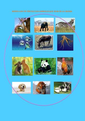 RODEA CON UN CÍRCULO LOS ANIMALES QUE SEAN DE LA GRANJA
