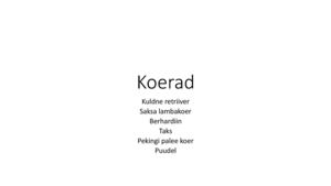 Koerad