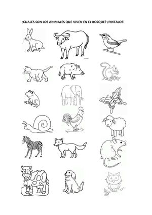 Ficha evaluación PDF