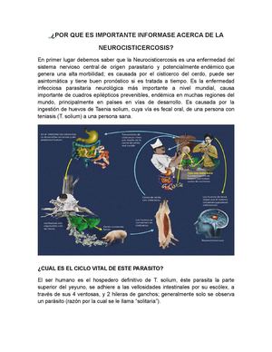 ¿POR QUE ES IMPORTANTE INFORMASE ACERCA DE LA NEUROCISTICERCOSIS?