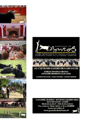 GANADERIA DE BUROS spécial Groupes