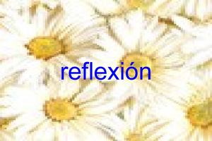 LA REFLEXIÓN