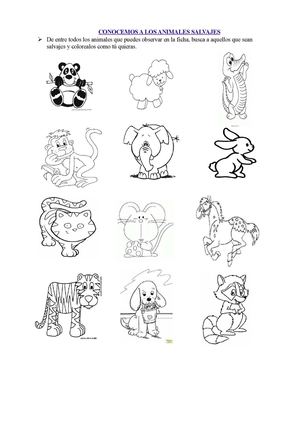 Ficha animales salvajes